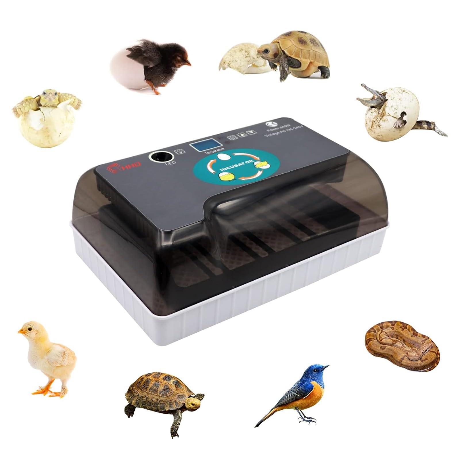 Incubatrice 12 Uova Incubatrice Uova di Tartaruga Allevatrice Rettili Allevatrice Termostatica Tartarughe con Girauova Automatico Coperchio Visibile Display LED Digitale(12 Eggs)