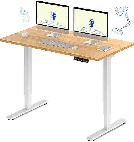 FLEXISPOT E3 Dual Motor Electric Standing Desk 55 x 28