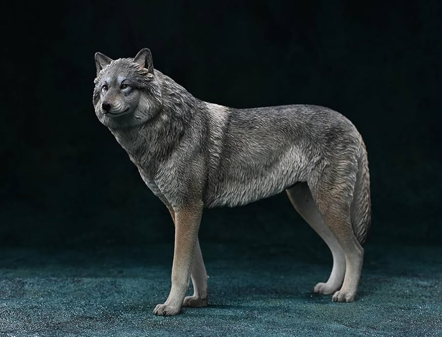 Amazon.com: WLNTDOLA 1:6 Scale Arctic Wolf Model Canis Lupus