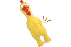 Squeaky Dog Toys: Chicken Dog Toy Enrichment for Happy Pets