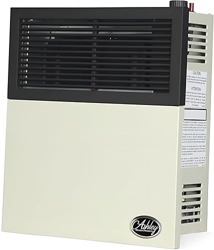 Ashley Hearth DVAG11L Calentador de propano de ventilación directa de 11,000 BTU, color crema