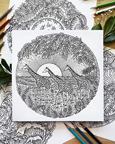 Circle of Life: A Colouring Journey