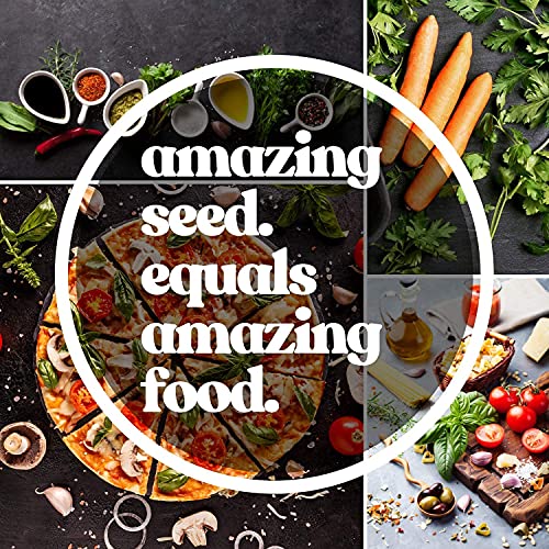 Large Leaf Sorrel Herb Seeds For Planting - 1 Gram 500+ Seeds - Non-Gmo, Heirloom - Culinary Sorrel Herb Plant Seeds - Home Garden Herb Seeds - Sealed In A Beautiful Mylar Package #TOP5