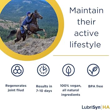 LubriSyn HA Hyaluronic Acid Hip & Joint Supplement Plus MSM for Dogs & Cats, Vet-Developed Oral Liquid HA for Pets Supports Mobility, Cartilage & Comfort, 16 oz
