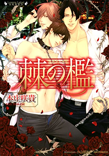 棘の檻 (ラヴァーズ文庫)