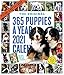 365 Puppies-a-Year 2021 Calendar