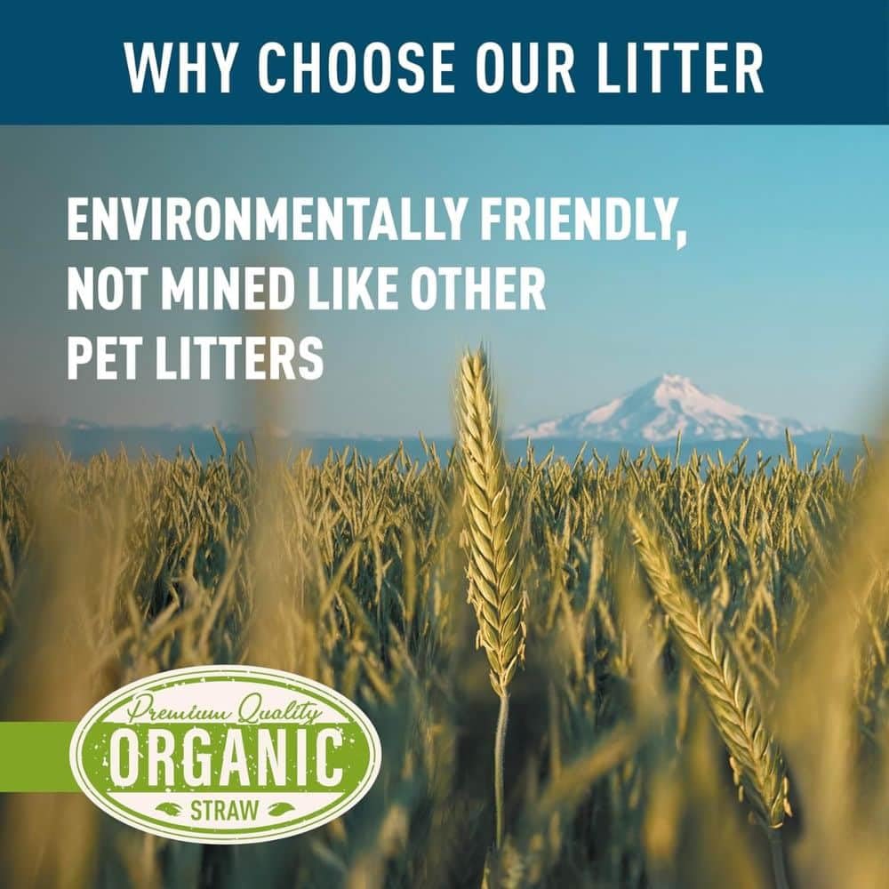 Blue Mountain Hay Lettiera biologica in paglia di grano per piccoli animali, pellet naturali e biodegradabili, senza sostanze chimiche e antipolvere, assorbe l'umidità, elimina naturalmente gli odori