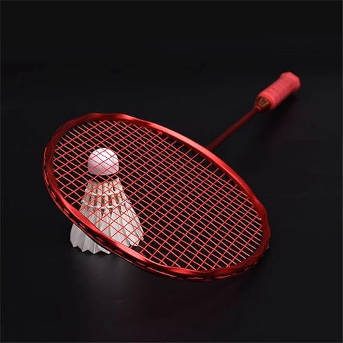 DLOETT Twisted Badminton Racket Broken Wind Low Wind Resistance -Light 5u Full Carbon Offensive Racket
