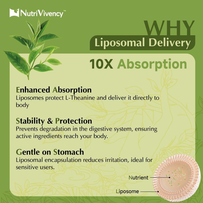 Liposomal L-Theanine Gummies, Sugar Free L Theanine 400mg Gummies Supplement for Adults & Kids, l'theanine Chewable for Relax & Improved Focus, Enhanced Absorption, Vegan, Green Apple Flavor, 60 Count - Image 5