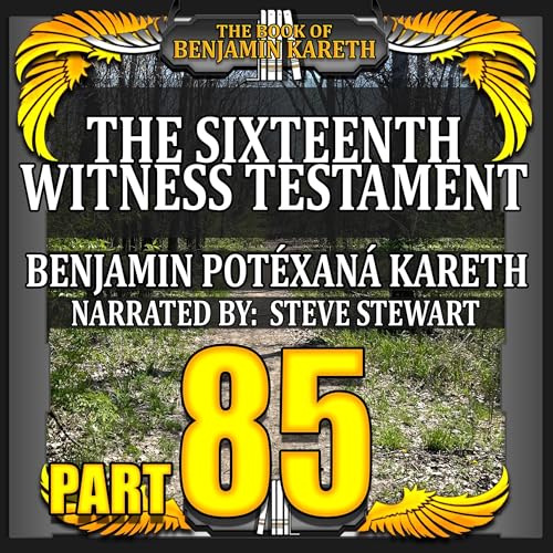 The Sixteenth Witness Testament cover art