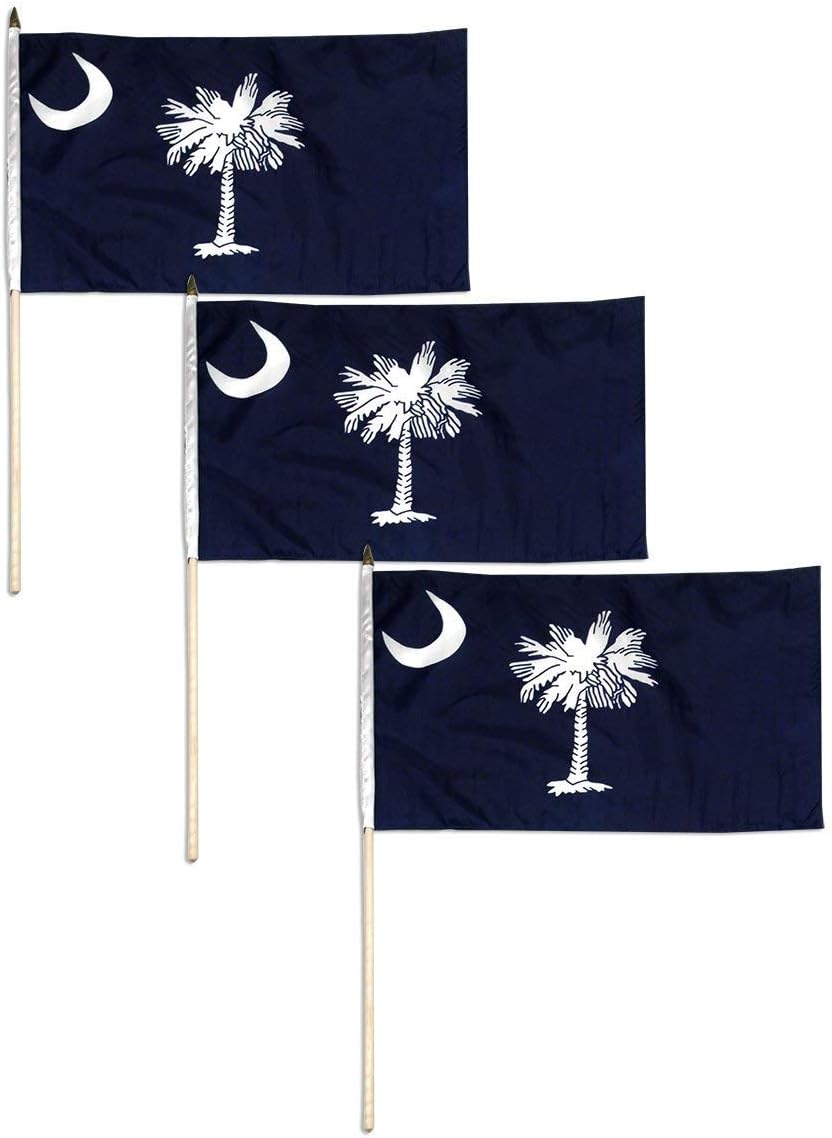South Carolina Flag 12 x 18 inch (12 PK)