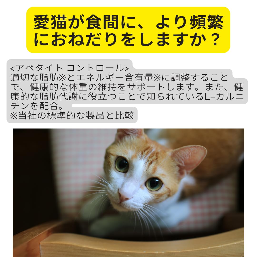 Amazon | おねだりの多い猫専用フード成猫用 ロイヤルカナン
