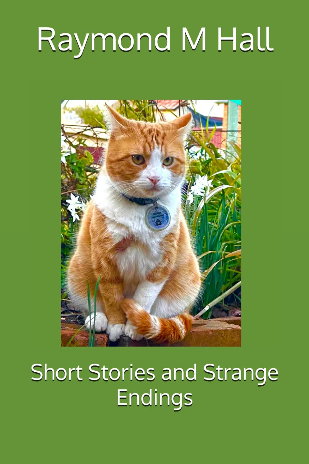Short Stories and Strange Endings