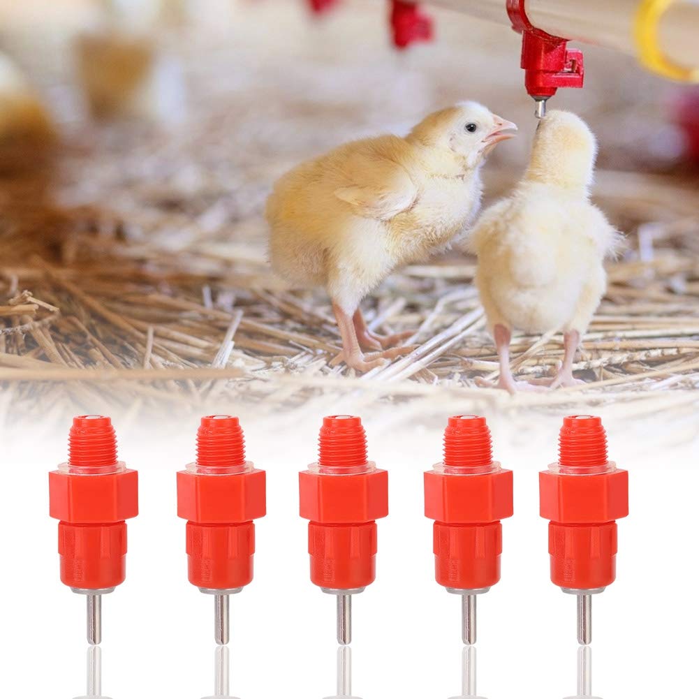 Abreuvoirs automatiques pour poulets, canards et oies en plastique et inox | 100 pcs