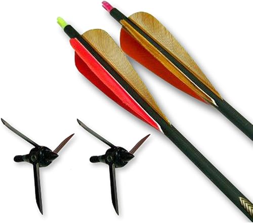 Kit de flechas Bullhead Victory, 100 granos