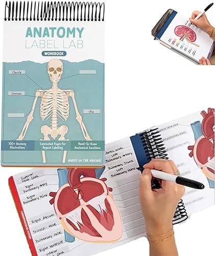 Cahier d'exercices de laboratoire d'étiquettes d'anatomie, livre créatif sur l'anatomie humaine, carnet de rapport essentiel pour infirmière, plus de 100 pages effaçables à sec, outils d'étude de