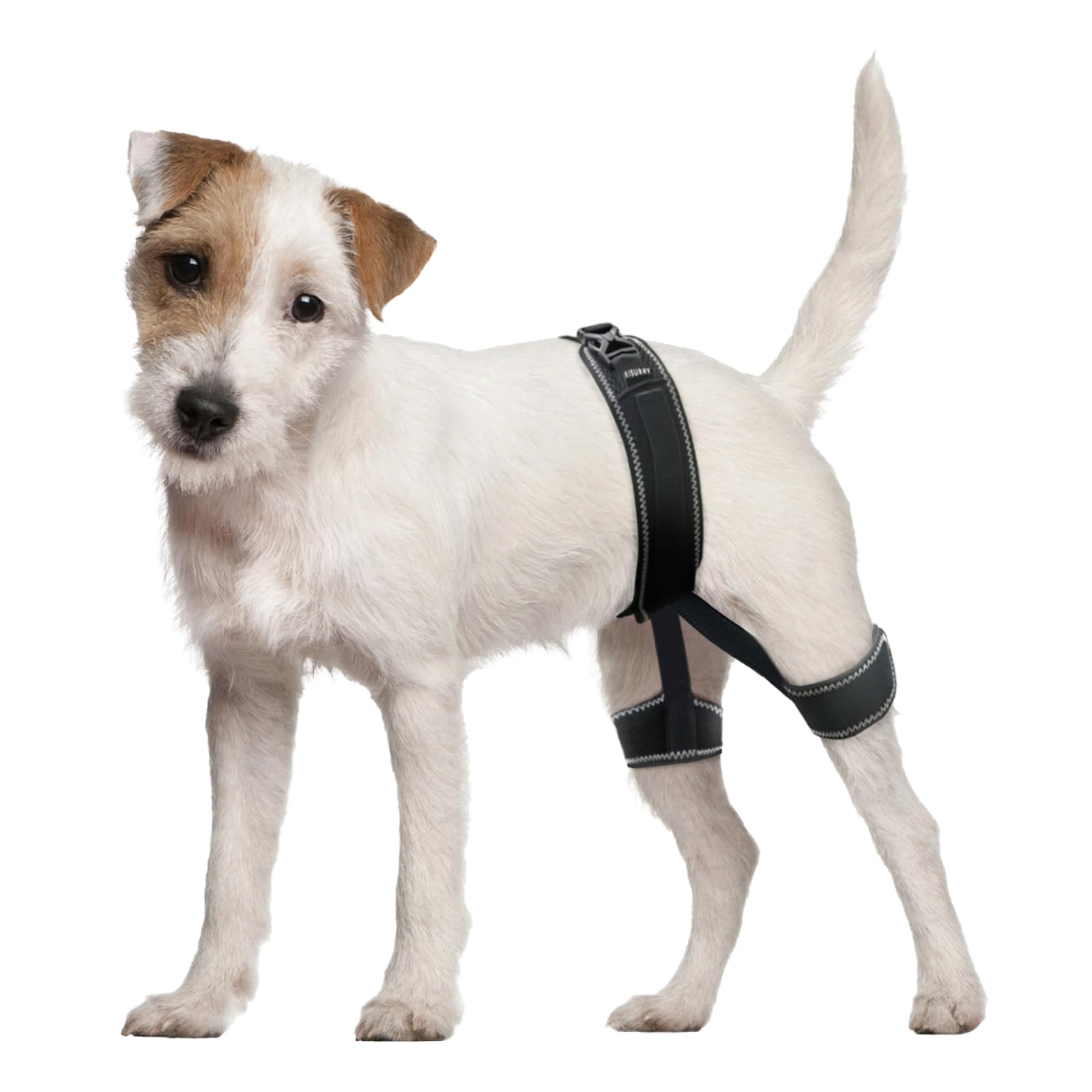 CHAMIN Dog Hip Orthotics Brace, Dog Hip Dysplasia Brace Harness, Support for Hip Dysplasia, Luxating Patella, Prevent Hip Joint Diseases and Assisted orthopedics, et(Medium)
