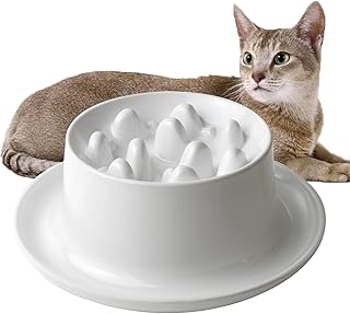 Raised Slow Feeder Cat Bowl, Fish Pool Design Elevated Slow Feeder Dog Bowls, Fun Interactive Bloat Stop Cat Slow Feeder Dry Food, Reduces Neck Burden Slow Down Eating Anti Vomiting Non-Slip No Spill