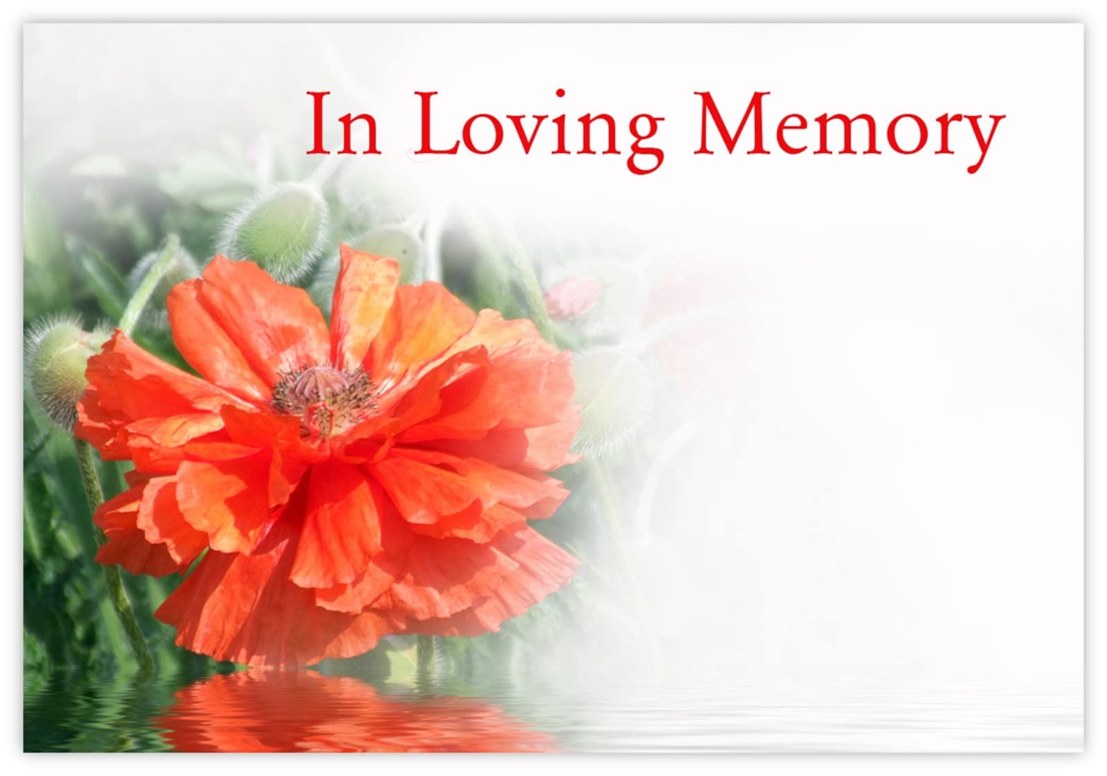 celloexpress In Loving Memory (Red Poppy) Flower Message Cards - 60mm x 90mm - Bereavement Florist Card Sympathy Condolences Notes (Pack of 50) โ image 1