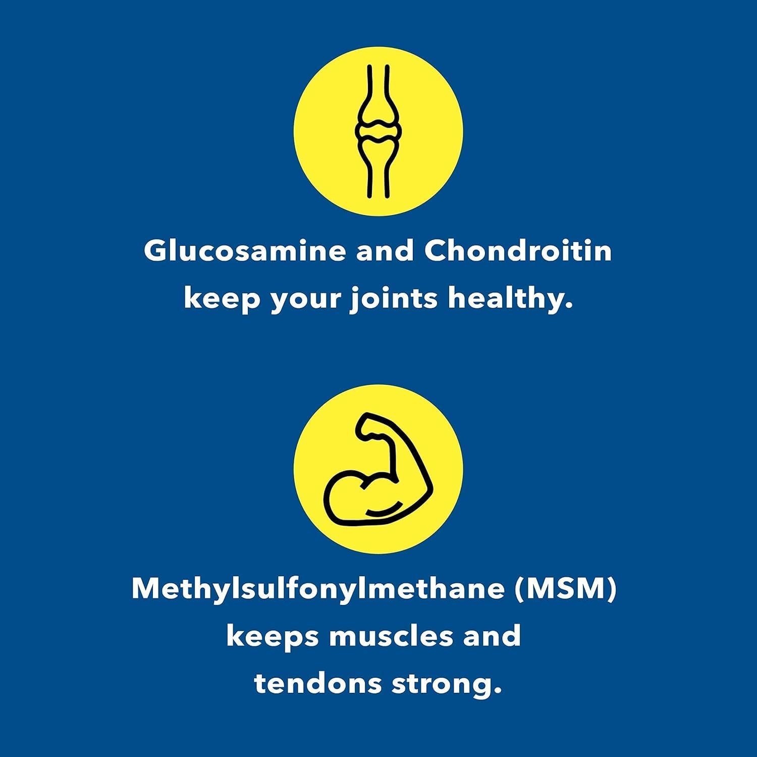 Glucosamine Chondroitin MSM Supplement for Joint & Bone Health - 120 Capsules | Joint Support & Discomfort Relief for Back, Knees, Hands