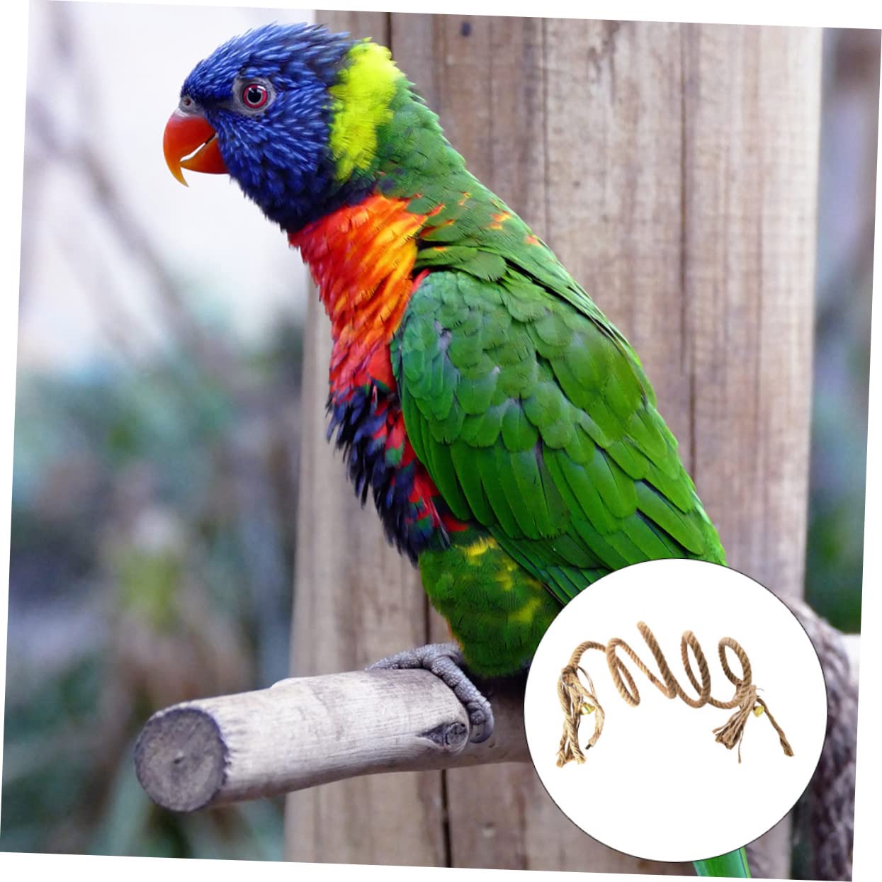 ifundom 1Pc Macaw Parrot Durable Hanging Rope Plaything with Bells Hooks for Grey Parrots Climbing Rope Flexible Bird Perch for Fun Exercise Bird Cages