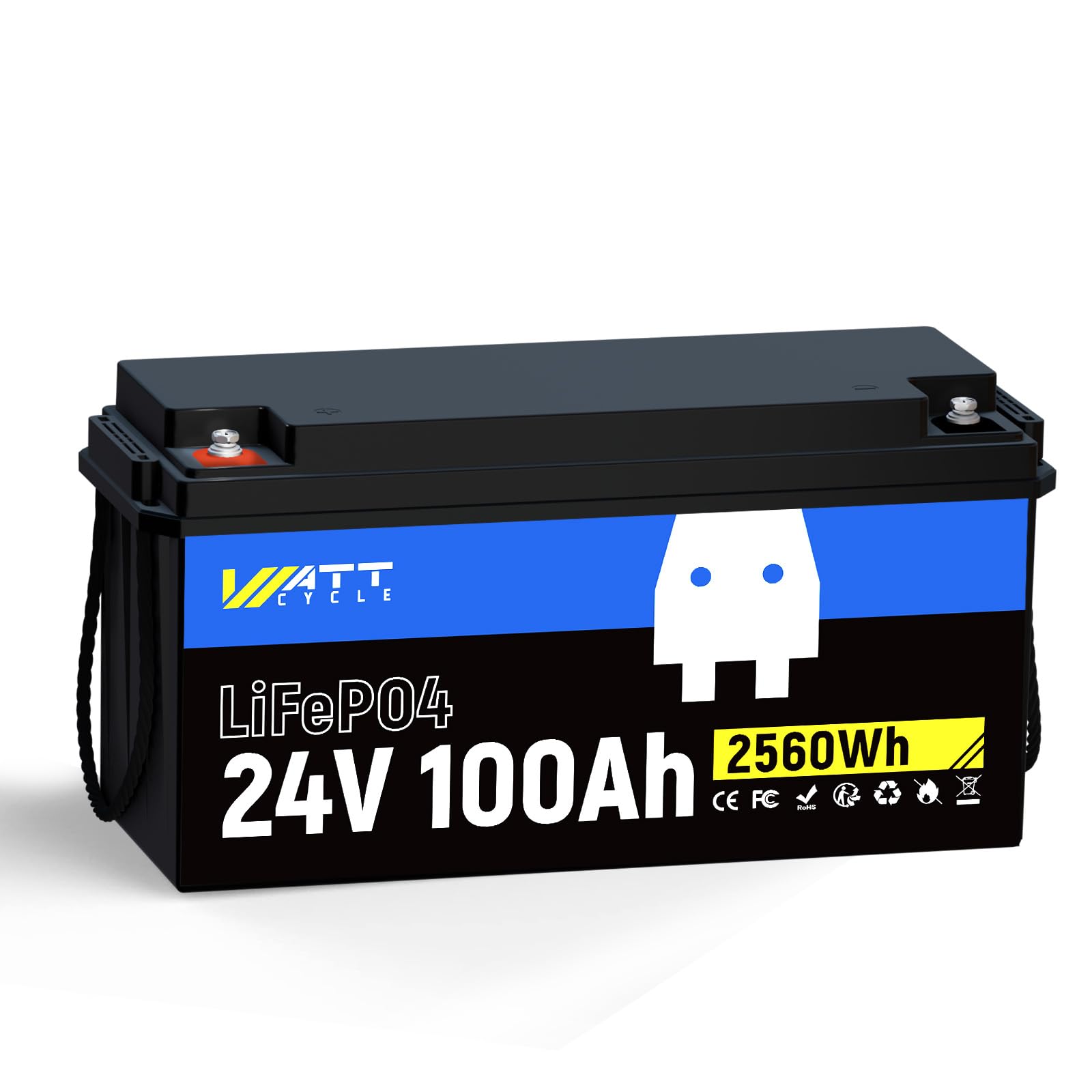Batterie Lithium 24V 100Ah,24v LiFePO4 Batterie avec Protection de 100A BMS