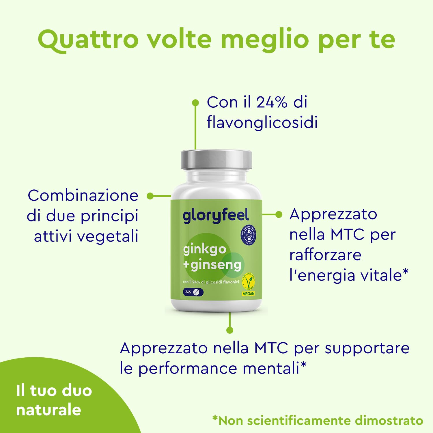 Ginkgo + Ginseng 365 Compresse - 24% Glicosidi Flavonici - Estratto di Panax Ginseng e Ginkgo Biloba (50:1) ad Alto Dosaggio - Scorta di 1 Anno - Testato in Laboratorio, Vegan e Senza Additivi