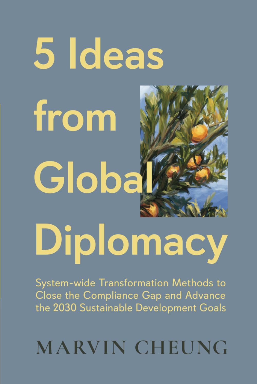 5 Ideas from Global Diplomacy: System-wide Transformation Methods to Close the Compliance Gap and Advance the 2030 Sustainable Development Goals
