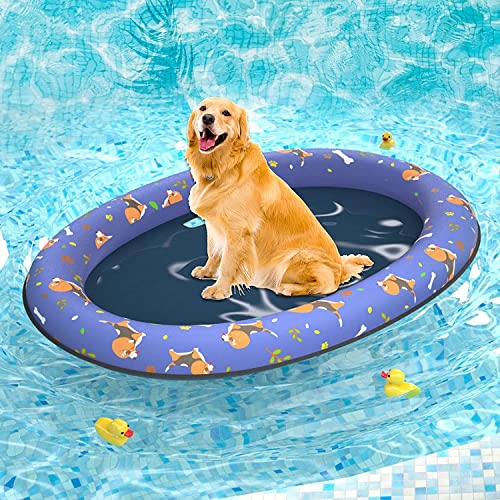The Best pool float for dogs Top 13 Picks By An Expert Maine