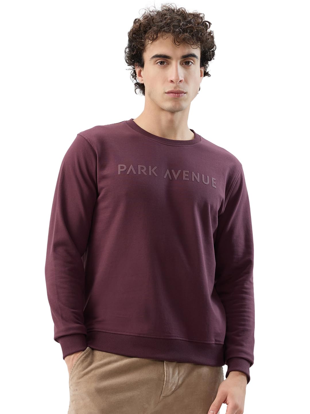 park avenue Men Slim Fit Solid Pattern Cotton Polyester Blend Round Neck Full Sleeve Casual Sweatshirt-picture-14