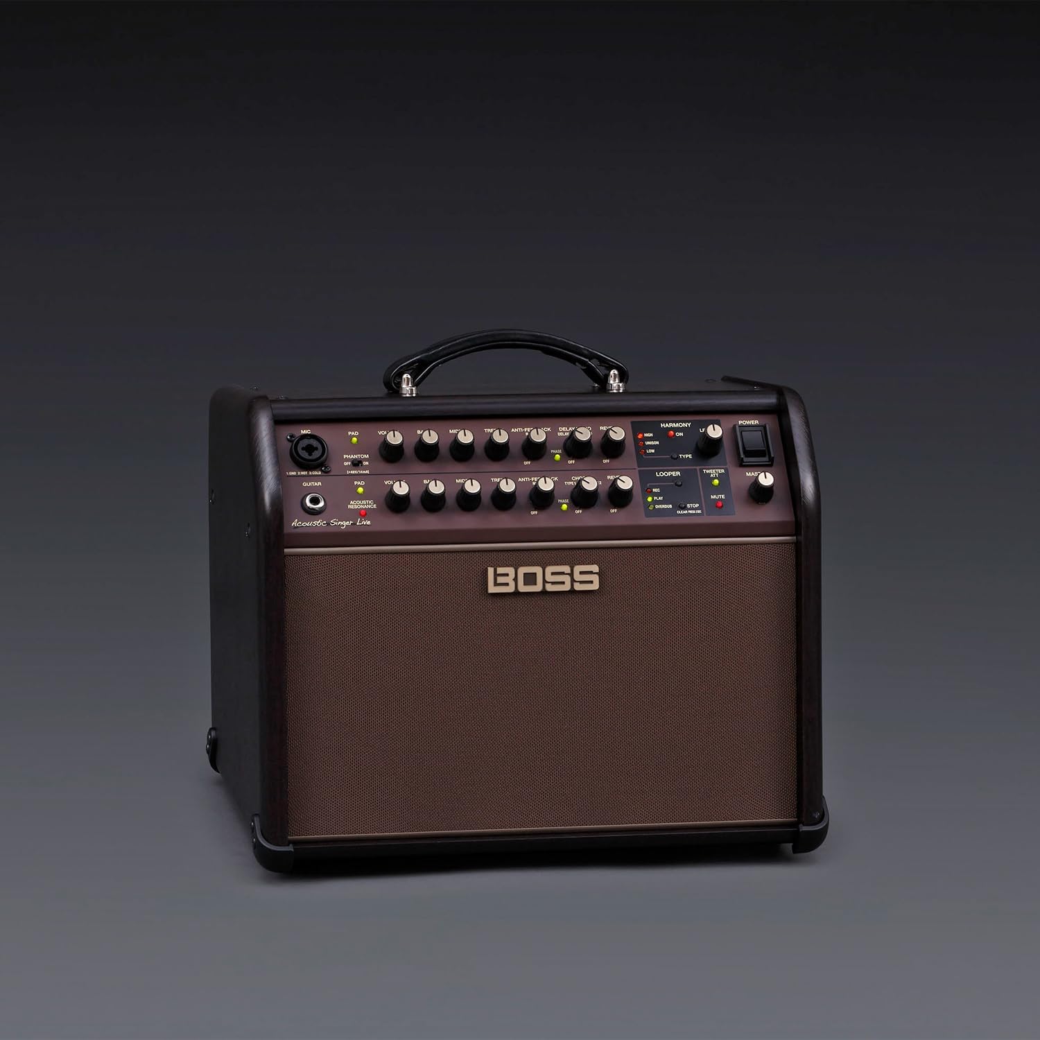 Boss ACS Live 60W Combo Amplifier for Acoustic Guitar and Vocals - Image 6