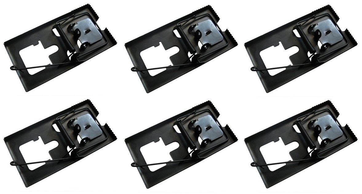 MultiDepot Set of 6 Metal Large Trap 730402, Black