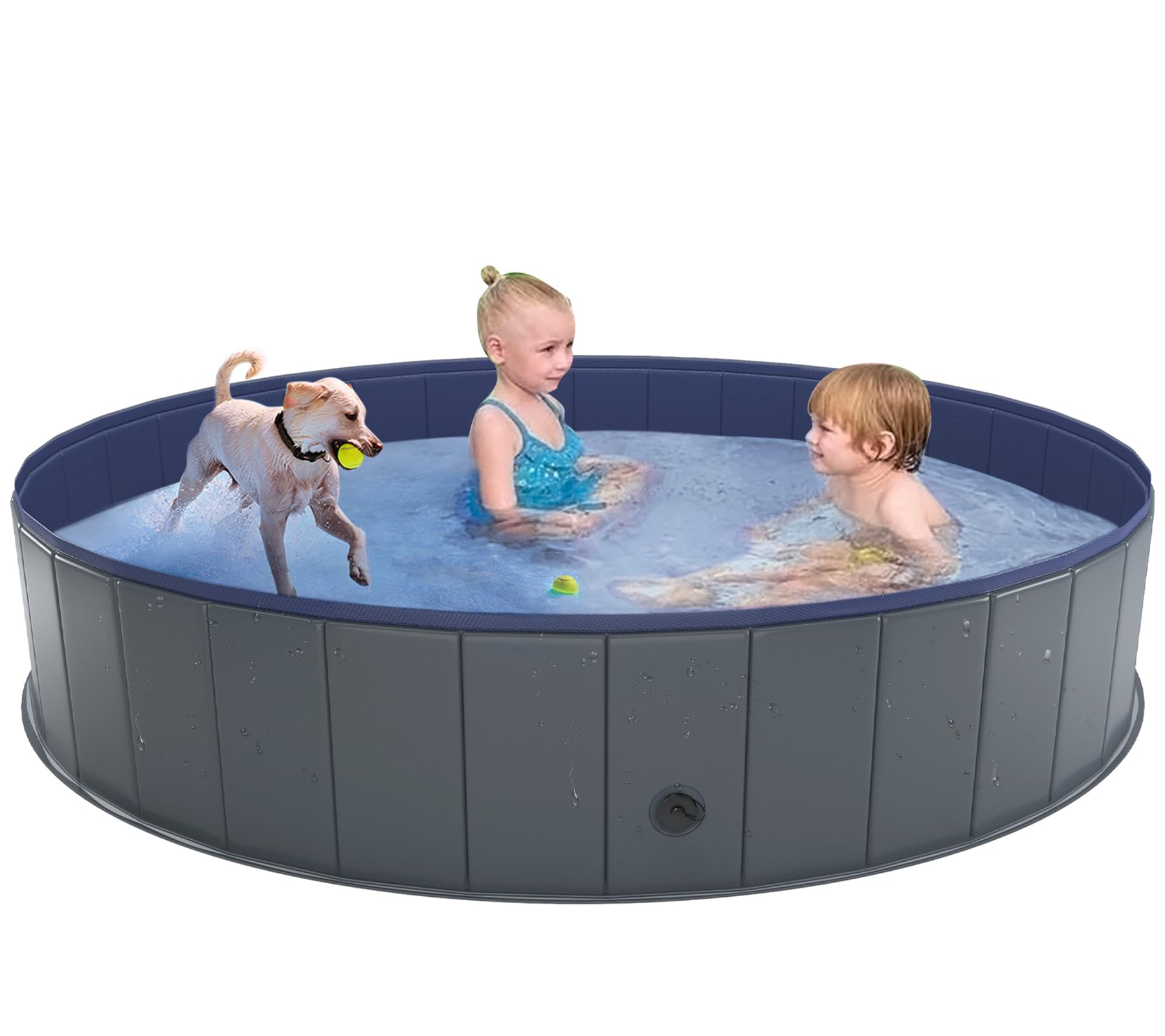 8 Best Kiddie Pool For Dogs | Ultimate Water Fun for Pups
