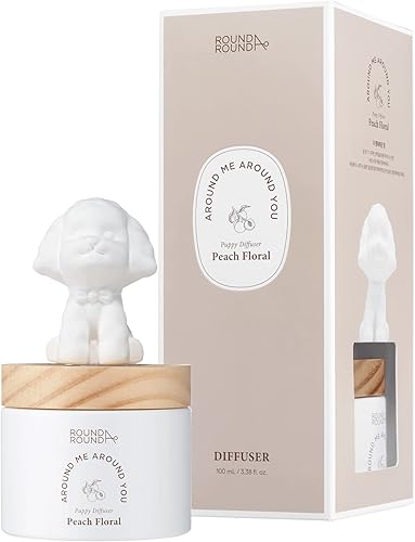 ROUND A'ROUND Difusor de cactus (Bilberry Cactus) Difusor de varillas de fragancias, bonito diseño con luz, arándano, limpio, verde, aroma