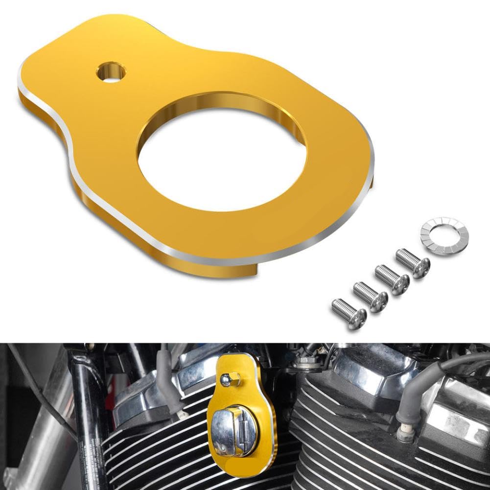 Eburpkhbd Gold Ignition Switch Relocation Bracket Compatible With Harley-Davidson Road King Special Flhr Flhrxs Street Special Flhx Flhxs Ultra Limited Flhtk(Gold)