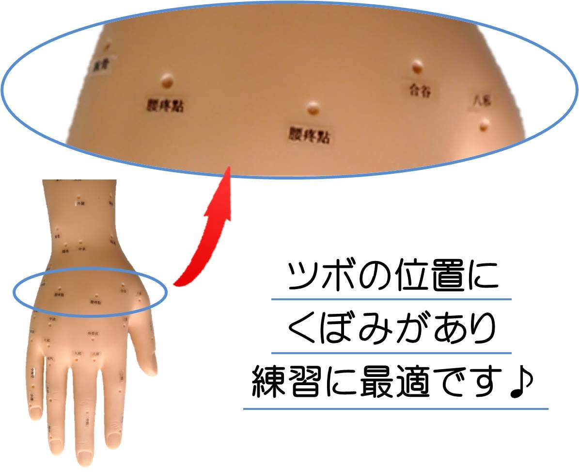 Amazon.co.jp: アームマッサージ練習用マネキン (右) 手 ツボシール