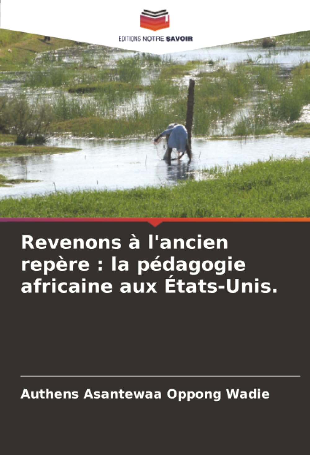 Revenons à l'ancien repère : la pédagogie africaine aux États-Unis.