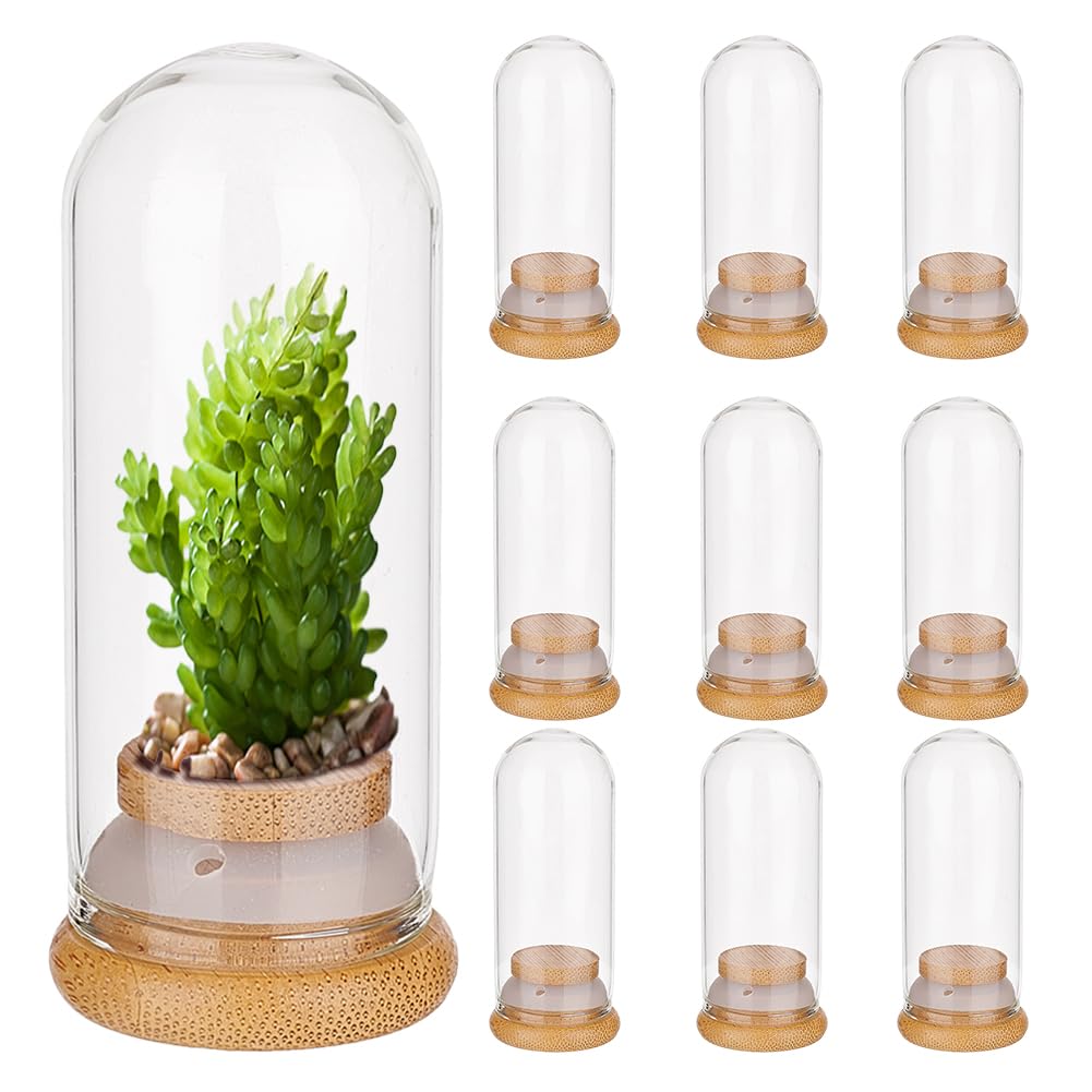 Dômes en verre transparent PH PandaHall contre la poussière pour travaux manuels