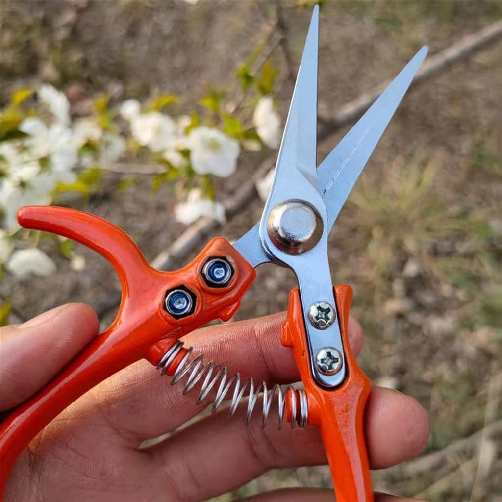 n Forbici Cesoie per la Raccolta della Frutta Cesoie da potatura in Acciaio Inossidabile n Verdura n Strumento per la potatura Forbici per Bonsai per Uso Domestico