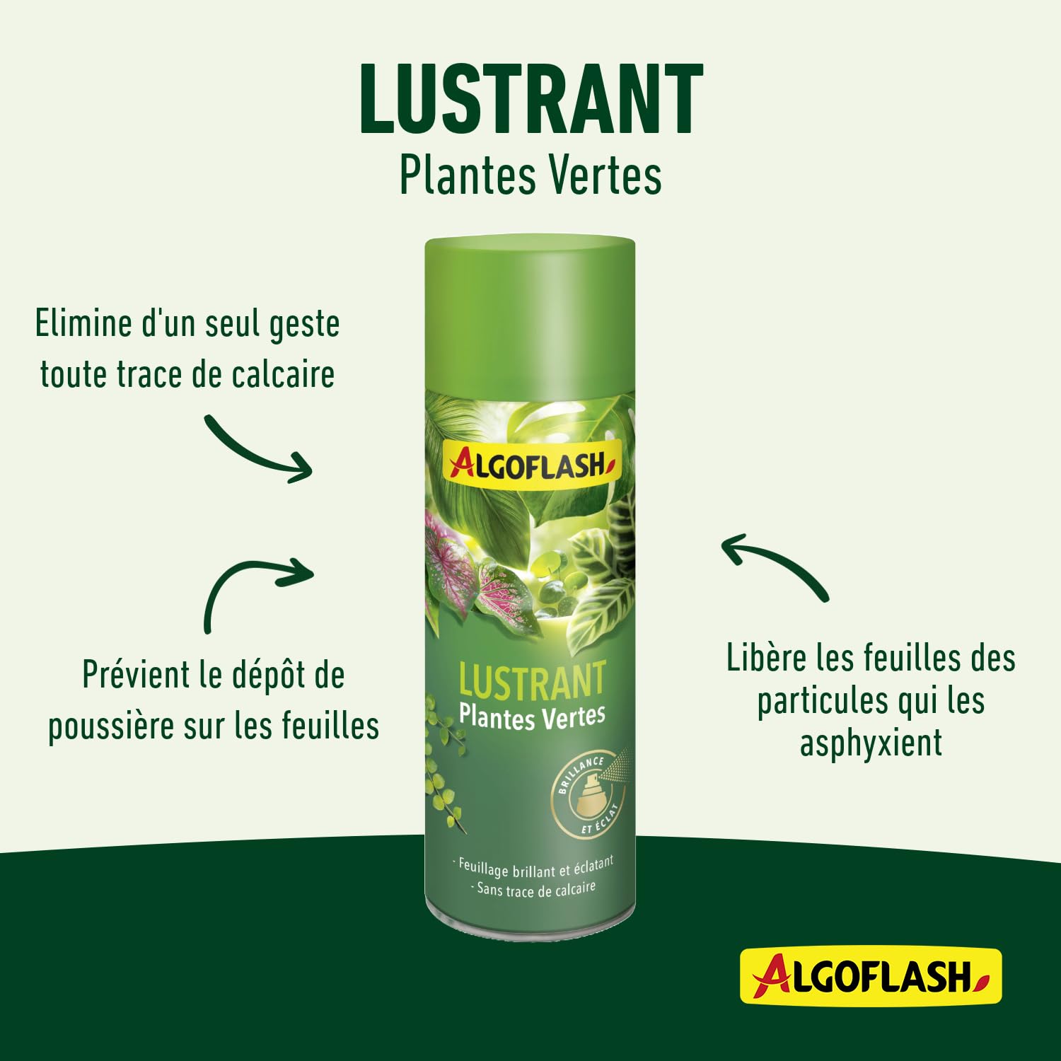 ALGOFLASH Lustrant Plantes Vertes, Brillance et Éclat, Prêt à l'Emploi, 250 mL, ALUSTR250R