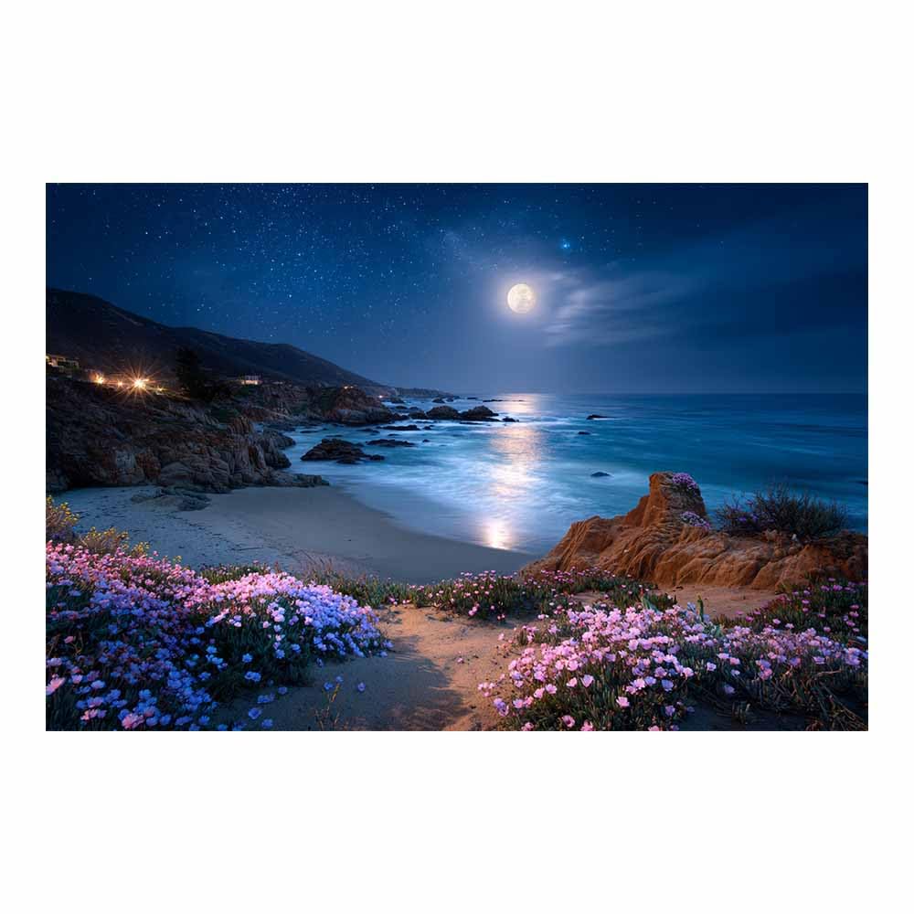 HOQIU Vintage wall art Moonlit Coastal Wildflowers decorative painting, wall art, for Living Room Bathroom Bedroom Kitchen Decoration.(Multicolor)-30x40cm Unframed