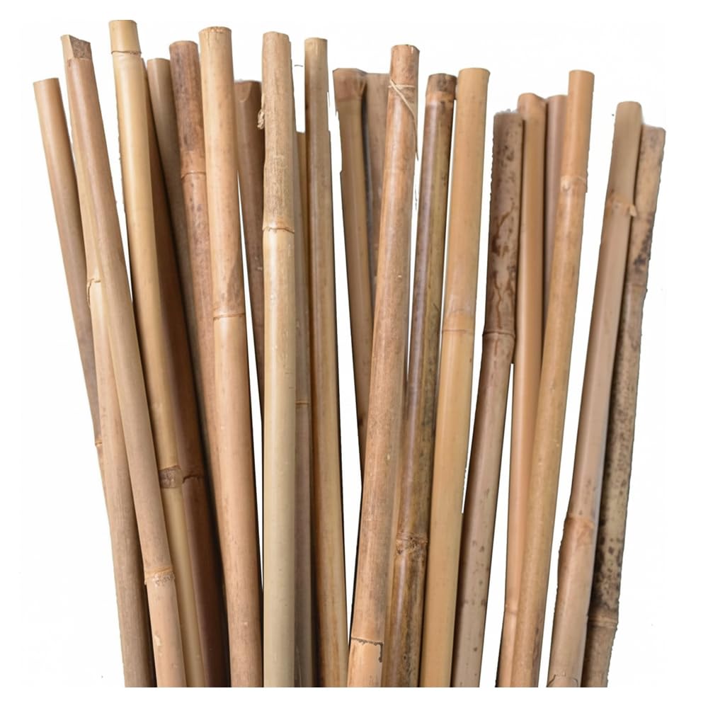 Suinga 500 Stück, Bambusstützen für Pflanzen 90 cm (6-8 mm) – Bambusstäbe, Stützen für Pflanzen, Gemüse, Tomaten, Bambusstäbe
