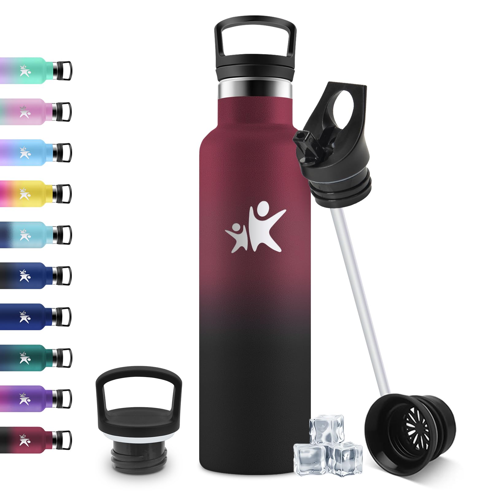 JAPORIA 750ml Insulated Water Bottle with Straw, Leak Proof, Easy Cleaning, BPA Free, Reusable, Water Botter for Adult, Camping, Cycling, Work, Travel