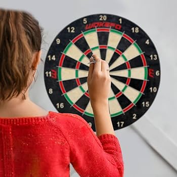 NEW DARTS LIFE 32冊 Viper Shot King Sisal Dartboard, Dartboard Backboard, 