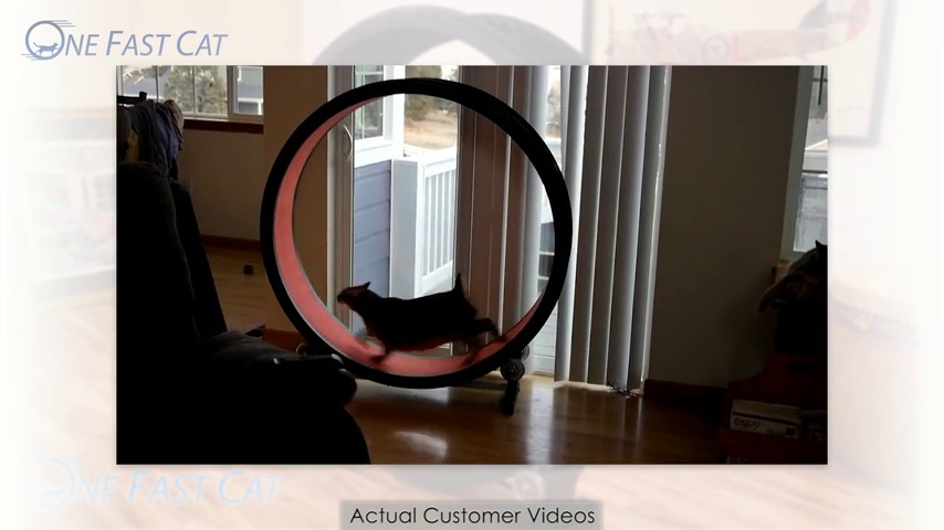 one fast cat replacement pads