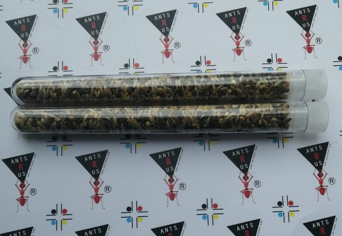 AntsRus Organic Seed Mix for Harvester Ants (Various Tube Sizes) (2X (150x16mm) Tube of Seeds) โ image 1