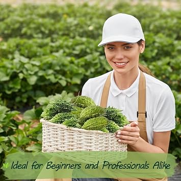 Premium Bitter Gourd Seeds for Planting 25 Non-GMO Heirloom Seeds - High-Yielding, Authentic Flavor