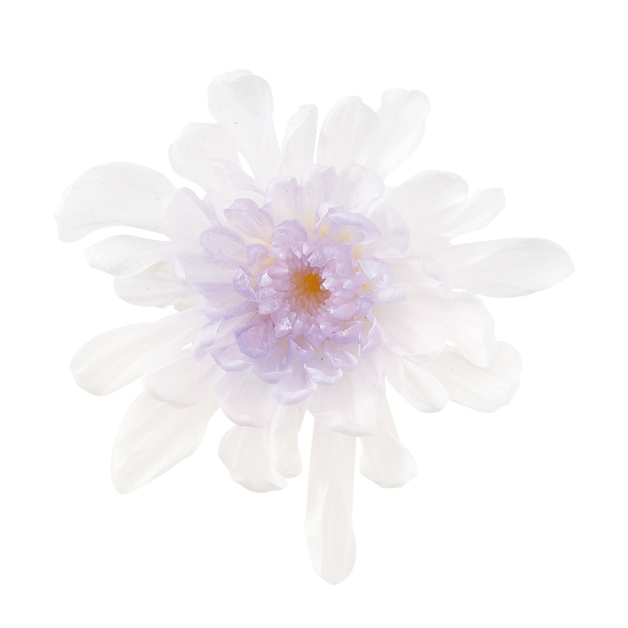 Amazon｜大地農園 プリザーブドフラワー ことね菊 ホワイトパープル 約