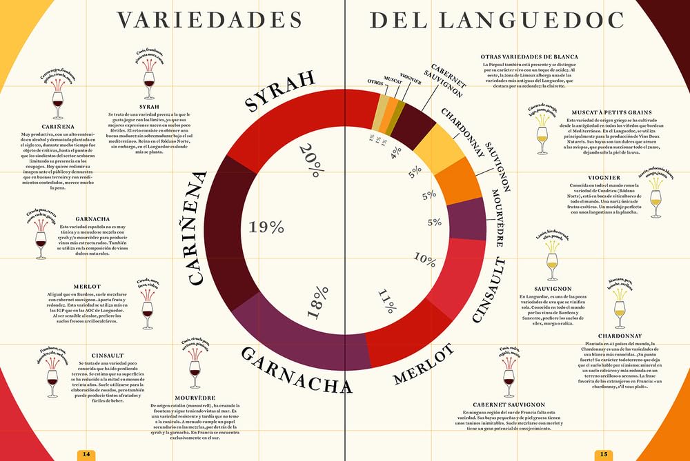 Ruta de los vinos franceses: Atlas de los viñedos de Francia (BEBIDAS)