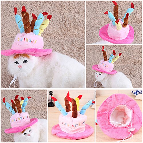 Chapéu de festa de aniversário Fdit Pet, chapéu de gato com velas coloridas, chapéu de festa com bol